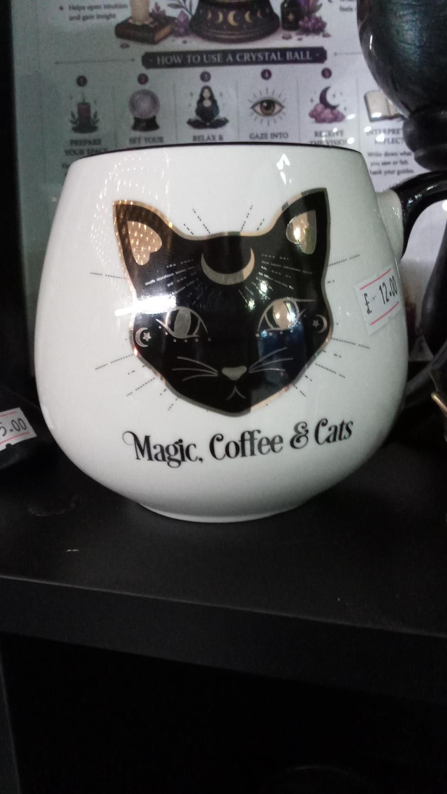 Mug Cat Magic Coffee and Cats