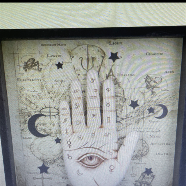 PALMISTRY companion 20.2 cm