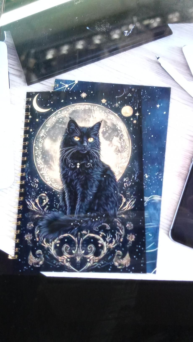 Book Cat Journal