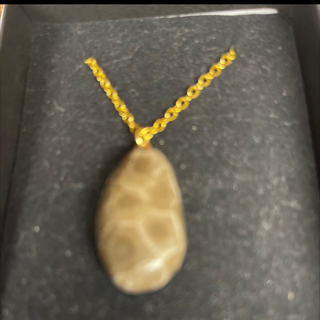 Petosky Stone pendant