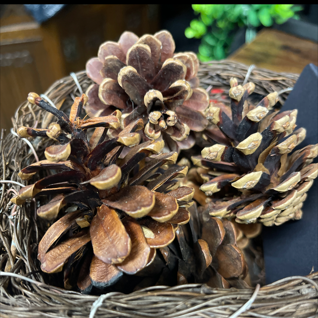 Pinecones
