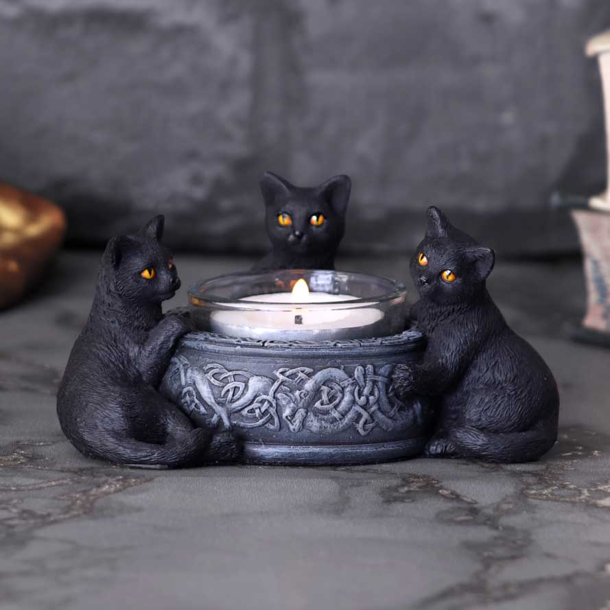 Cat Pack