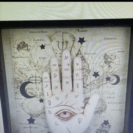 PALMISTRY companion 20.2 cm