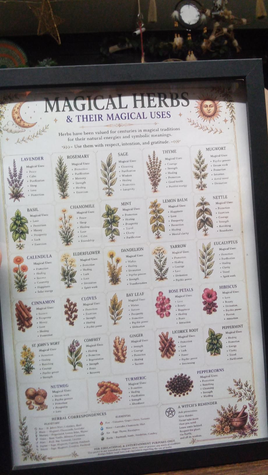 Picture Magical Herbs