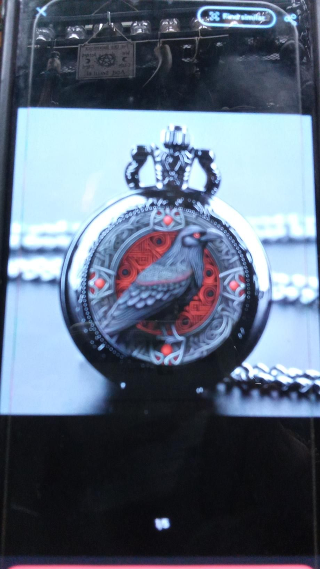 Watch Raven Necklace