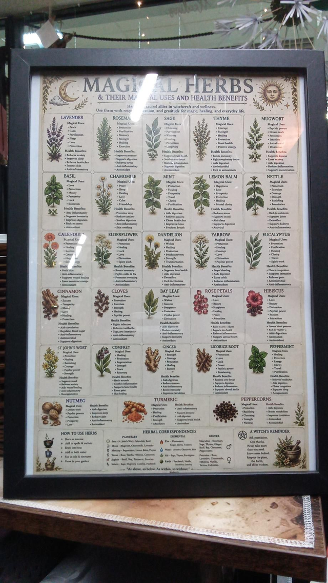 Picture Magical Herbs