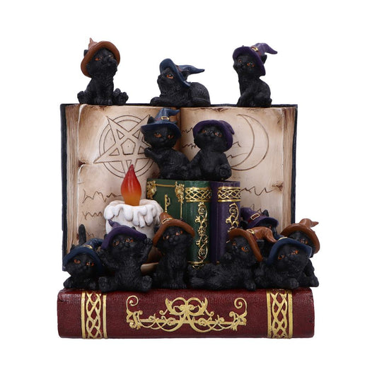 Coven Keepers (Display Stand with 36pcs)