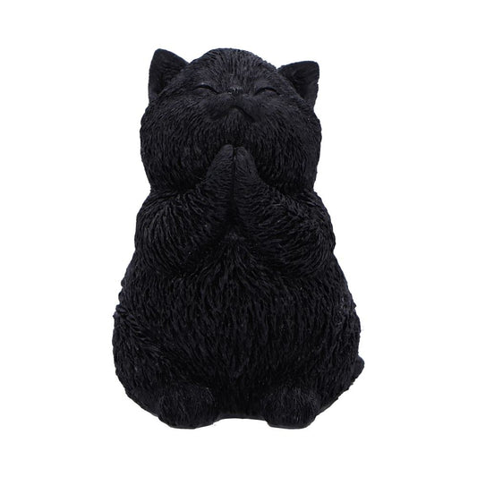 Whisker Wish