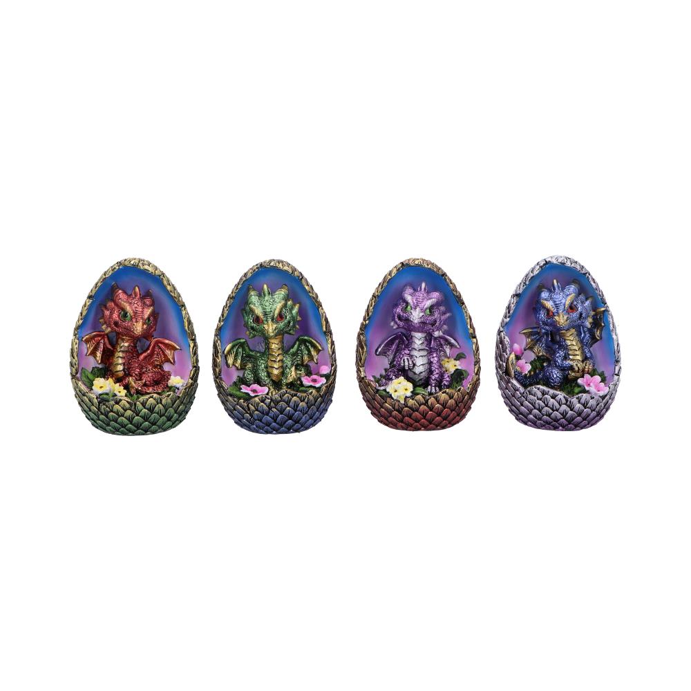 Blooming Brood (Set of 4)
